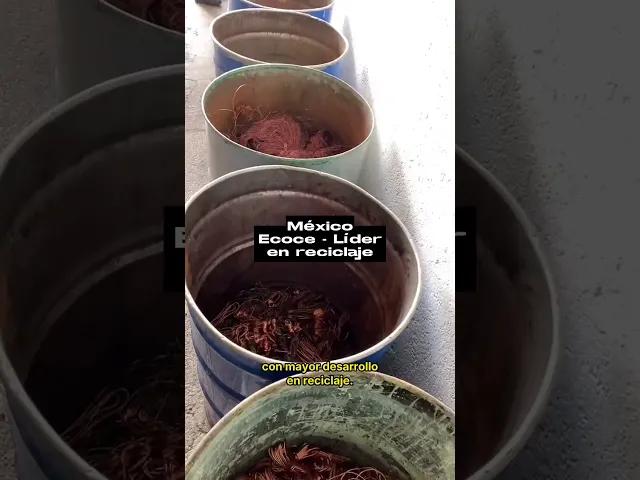 La cultura del reciclaje