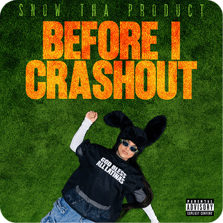 Imagen del hito Presentó “Before I Crashout”