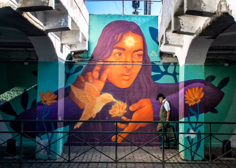 Portada de Arte urbano y fotografía: la mirada de Felipe Salinas